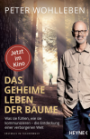Das geheime Leben der Bäume